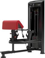 Atlantis Precision Standing Bicep Curl